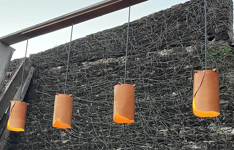 Freeline Lamp